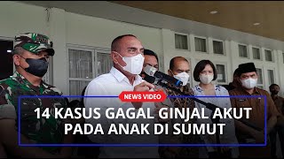 14 Kasus Gagal Ginjal Akut pada Anak di Sumut, Gubernur Edy Rahmayadi Minta Warga Tidak Kalut