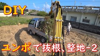 ＤＩＹ　ユンボで抜根、整地-2