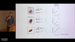 From Germline Mutation to Speciation (9) - Molly Przeworski (2018-2019)