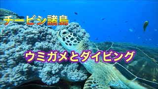 チービシ諸島☆神山島・ディーズパルス沖縄