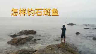 芭提雅海钓石斑鱼的方法