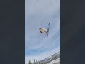 skiing over girls… 😰⛷️ skier lineskis ski skiequipment skiing