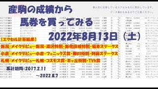 【競馬予想】2022年8月13日（土）の予想 +稲妻ステークス、フェニックス賞、コスモス賞、他の計算結果【エクセル集計】