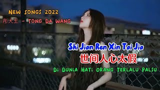 世间人心太假 - Shi Jian Ren Xin Tai Jia - 彤大王 - Tong Da Wang - New Songs 2022