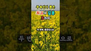 무속인들이 뽑은 최고의 길몽 3가지! #풍수 #금전운