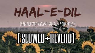Haal-E-Dil | Slowed+Reverb | Sanam Teri Kasam | Lofi | Sreerama Chandra |