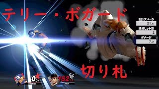 スマブラSP テリー・ボガードのピット通信,カービィのコピー,最後の切り札,アピール集【奮闘ゲーマーズ】