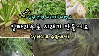 알타리무청 시래기가 맛있다는걸 너무 늦게 알아버렸네요. #주말농장#텃밭농사#알타리무수확