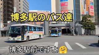 【博多駅のバス達】バスがいっぱいバイ🤗10−9