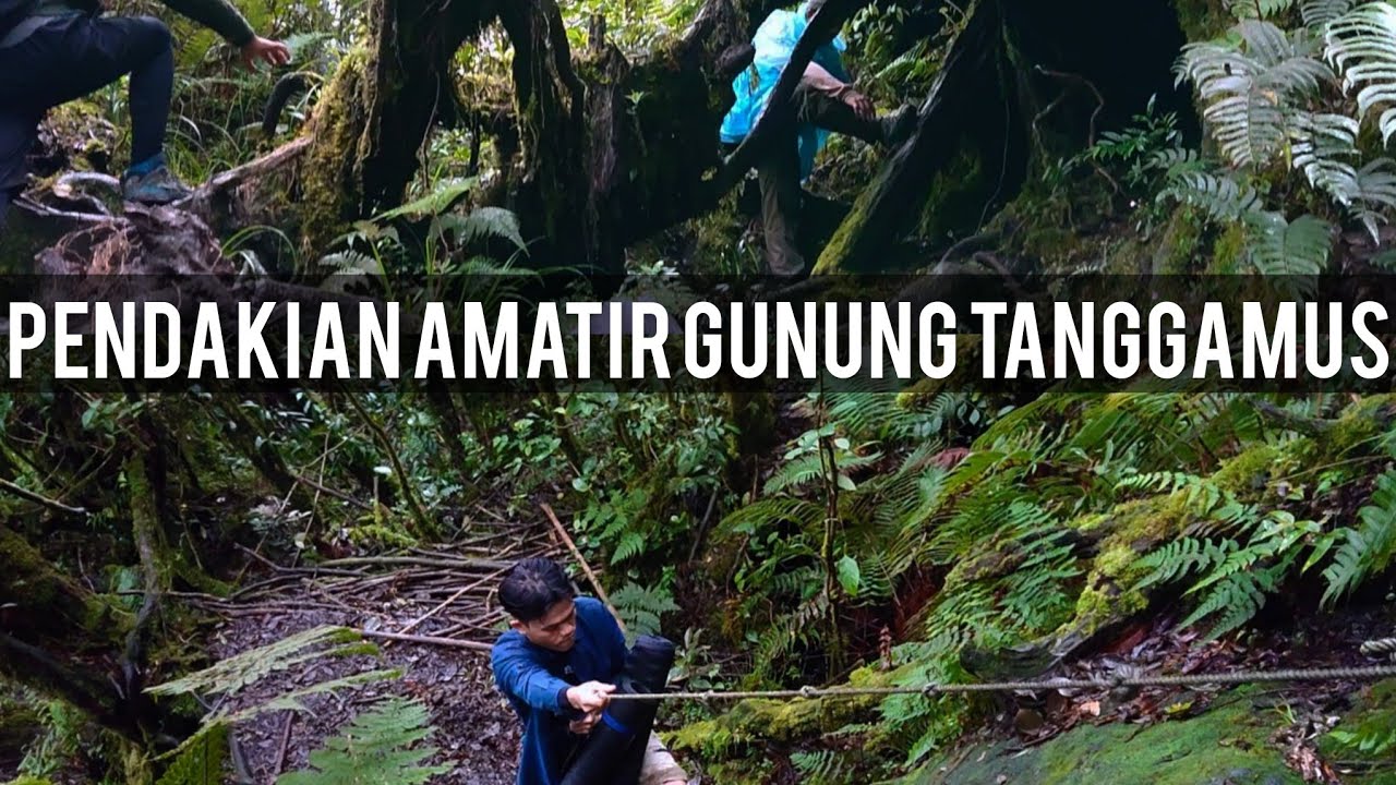 AMATIRAN FIRST TIME MENDAKI GUNUNG TANGGAMUS LAMPUNG - YouTube