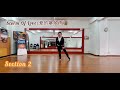 Storm of Love Linedance 爱的暴风雨 Teach & Walk Through