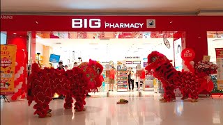 Big Pharmacy Lion Dance \u0026 Choy San Yeh 2023