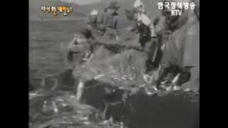 부산에 국내 최대 규모의 종합어시장 수산센터 개장 [1963]