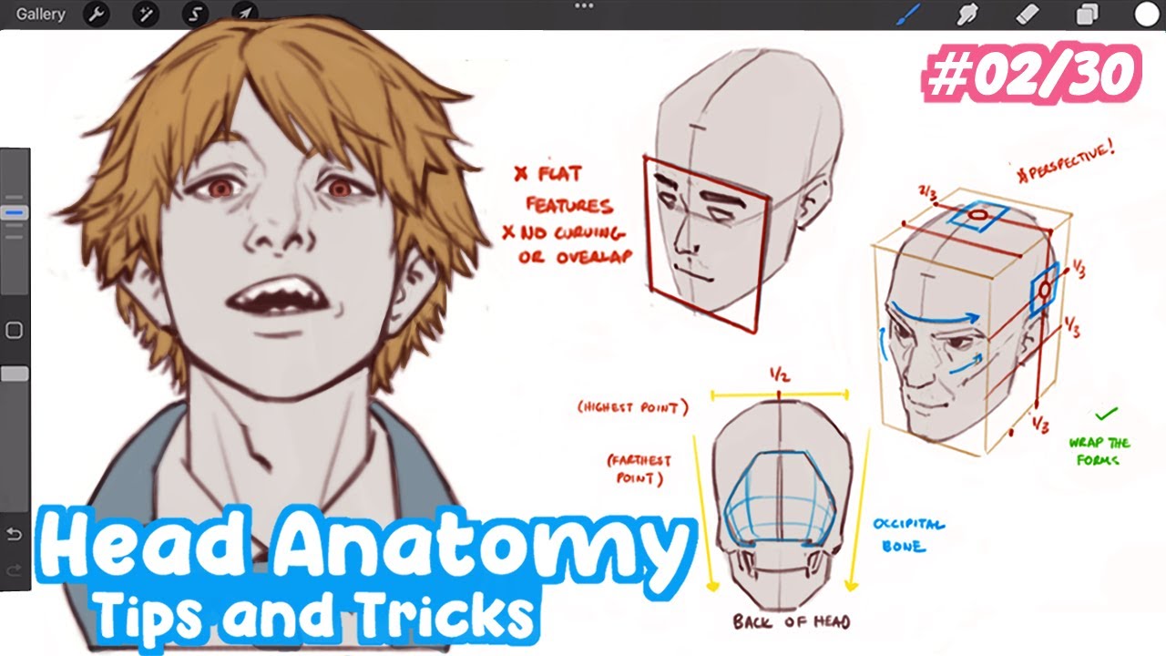 How To Draw HEADS From ANY ANGLE! | Full Drawing Tutorial - Art ...