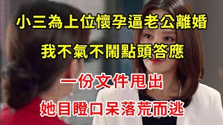 小三為上位懷孕逼老公離婚，我不氣不鬧點頭答應，一份文件甩出，她目瞪口呆落荒而逃 | 翠花的秘密