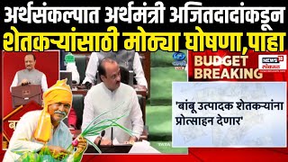 Finance Minister Ajit Pawar On Farmers: शेतकऱ्यांसाठी बजेटमध्ये काय? Maharashtra Budget 2025