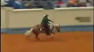 Wimpys Little Step - 2002 NRHA Futurity Open Champion