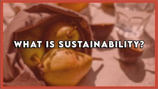 sustainability explained in a simple way #shorts