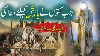 Urdu Sachi Kahani | Jab Kutton Ne Barish Ke Lye Dua Ki | When Dogs Pray For Rain | Rohail Voice