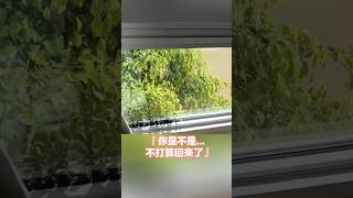 陈一发儿：只要去国外旅游，就会不停有人问你……😁😁