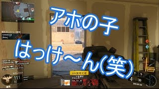 【BO3実況】 りんどーのDOM実況 #17 ~SVGで捌いてゆく実況~