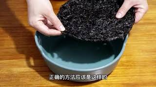 煮紫菜汤，直接清洗是大错，教你好吃做法，汤鲜味美无泥沙