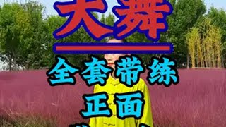 健身气功大舞 健身气功大舞国家体育总局口令版全套正面演练带口令零基础学太极传承中华经典中国武术博大精深太极孙清华