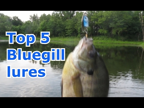 Best 5 Lures for Bluegill and Panfish - Tips and Techniques Best 5 Lures for Bluegill and Panfish - Tips and Techniques