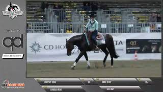 Futurity 2023 - FRANCESCA RIGHI \u0026 SANGER BOY score 140,5