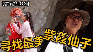 【罗宾VLOG】寻找最美的紫霞仙子