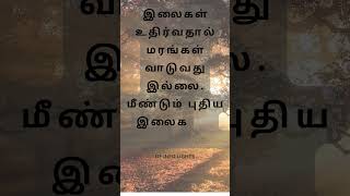 இலைகள் உதிர்வதால் மரங்கள் வாடுவது இல்லை. மீண்டும் புதிய இலைகளை தோற்றுவிக்கும்.