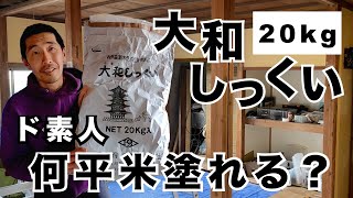 ド素人が大和しっくい1袋で塗れた広さ