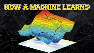 Intro to Machine Learning: Gradient Descent (With Code)