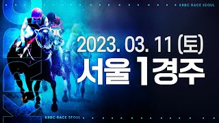 (서울) 2023.03.11 1경주 이번주 주로 초읽기: 선행마 = 성공적!