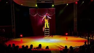 Circus Stardust Agency Presents: Free Standing Ladder Act (Circus Act 01688)