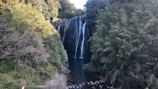 【龍門滝（日本の滝百選）】鹿児島県姶良市 高さ46メートル、幅43メートルの豪快な二段落とし 2023.1.3 #waterfall #valley #nature