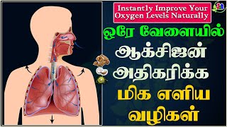 ஒரே வேளையில் ஆக்சிஜன் அதிகரிக்க மிக எளிய வழிகள் | Instantly Improve Your Oxygen Levels Naturally