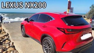 紅色2025年LEXUS NX200開車一個月的心得