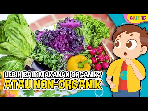 Perbedaan Makanan Organik Dan Non Organik Yang Memiliki Manfaat Berbeda ...