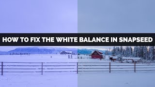 How To Use The White Balance Tool In Snapseed From Google