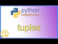 Python Tuples -  Tuple and NamedTuple Type Tutorial with Examples - APPFICIAL