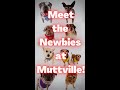 Meet more newbies from this week at Muttville Senior Dog Rescue!