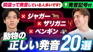 【初級者必見】間違いやすい動物の英語名20選｜発音記号で分析(米英)