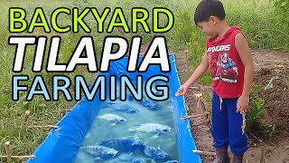 BACKYARD TILAPIA FARMING