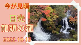 2022年10月15日 紅葉 栃木県 日光 龍頭の瀧　今が見頃と思います　RYUZU FALL