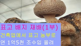 건축업 접고 표고 배지 재배,연 1억5천 조수입,