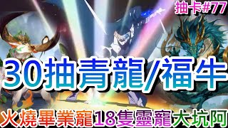 【軒老】大坑啊，12500幻星丟水溝?『青龍/福牛』活動30抽跟他拚了，速看陸版\