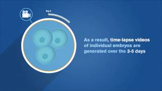 EmbryoScope Patient Information