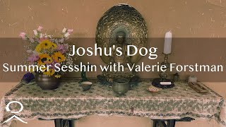 Joshu's Dog: Summer Sesshin Talk One with Valerie Forstman - June 21, 2022