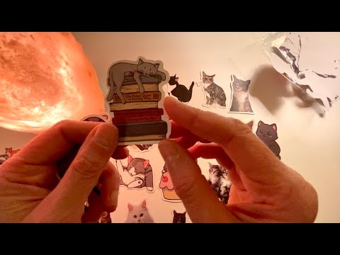Asmr Whisper Let S Look At 100 Cat Stickers Some Chit Chat Plastic